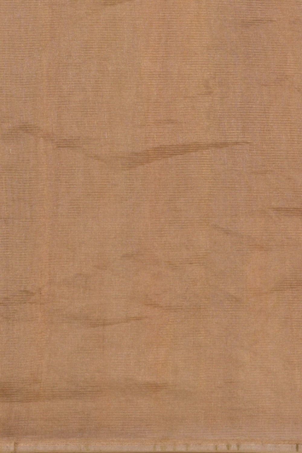 Image of Tissue Kota Embroidery Saree